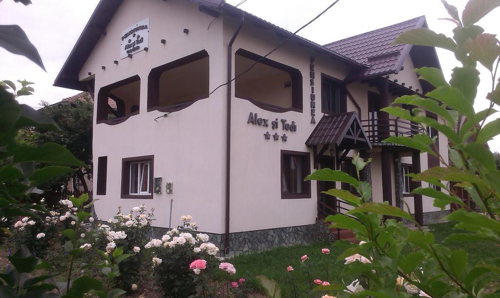 Pensiunea Alex Si Tedi Horezu Chambre photo