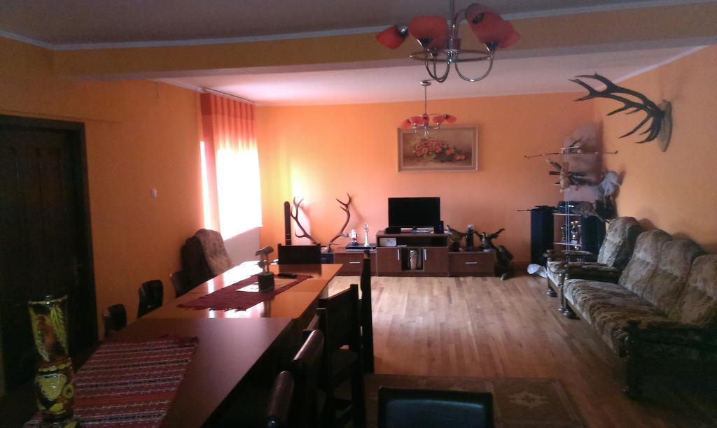 Pensiunea Alex Si Tedi Horezu Extérieur photo