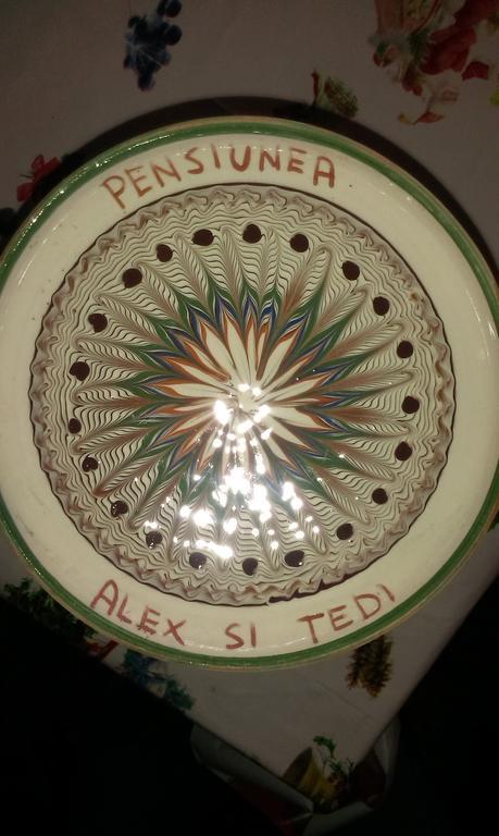 Pensiunea Alex Si Tedi Horezu Extérieur photo