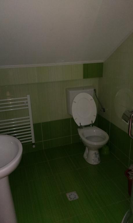 Pensiunea Alex Si Tedi Horezu Chambre photo