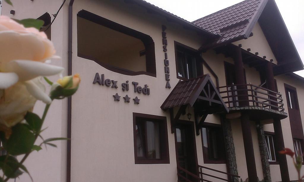Pensiunea Alex Si Tedi Horezu Extérieur photo